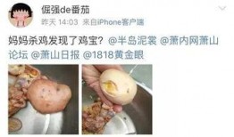 杀鸡最新爆料,揭秘幕后真相，带你走进神秘事件核心