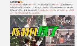 王琳前总监爆料视频最新,独家爆料视频背后的惊人真相